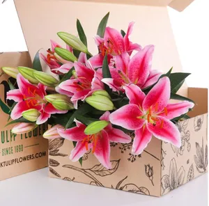 Flower Box