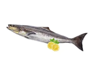 Vella Modha-500gm