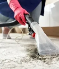 Carpet Cleaning Mopping