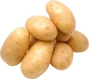 Potato