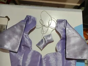 Designer blouse