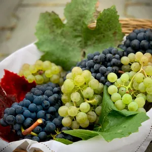 Grapes