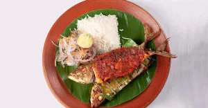 Ayala Fry