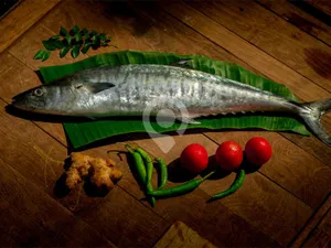 Big Neymeen  /King fish- 500gm