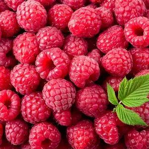 Raspberries Mexico