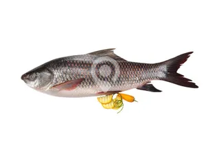 Che  meen-1kg