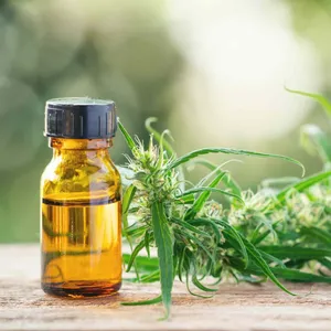 Cannabidiol