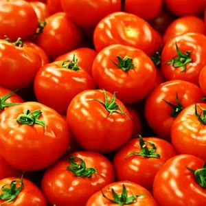 Tomatoes