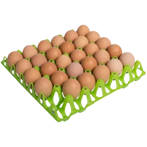 Eggs