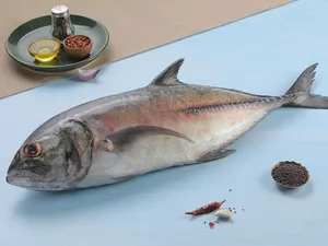 Vatta  -500g