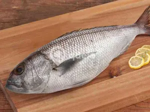 Vela Meen-1Kg