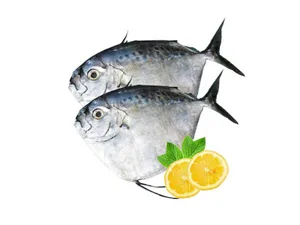 CD - 1kg