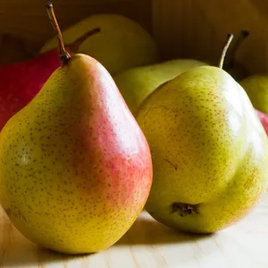 Pears Forelle