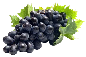 Grapes