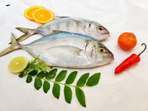 Manja vatta-1kg