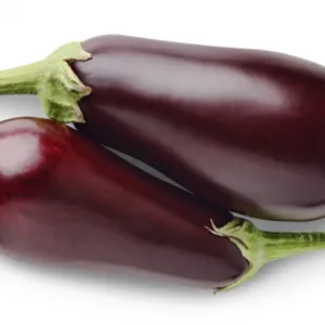 Eggplant